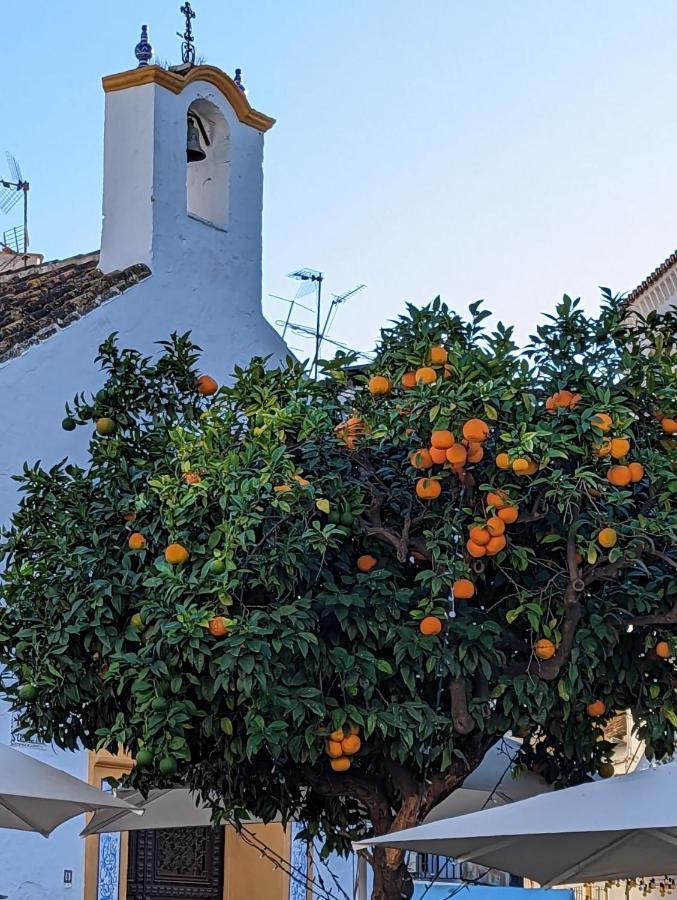 Marbella - Playa Alicate 2Br Holiday Apartment Kültér fotó
